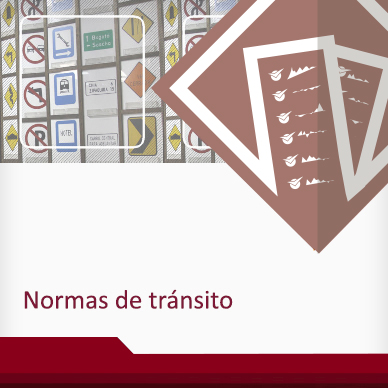 Curso de Normas de tránsito para conductores profeionales