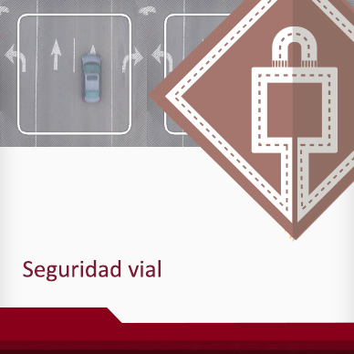 Curso de Seguridad vial